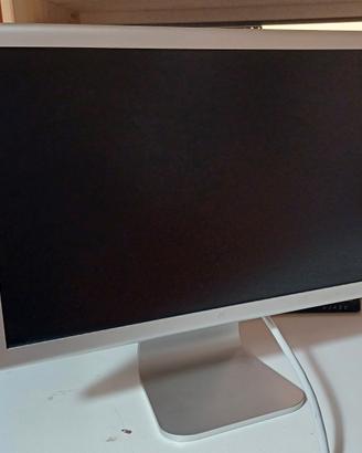 Apple A1081 monitor 20"