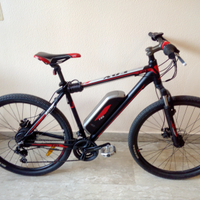 Bicicletta elettrica pedalata assistita