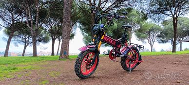 bici elettrica fatbike 20 - Mate X 1000w
