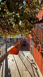 Isola di Procida via Libertà