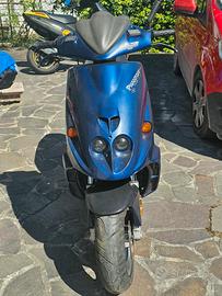 Malaguti Phantom f12