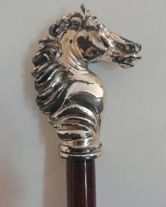 Anico bastone da psseggio