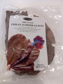 Foglie di Catappa giganti