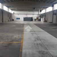 CAPANNONE A CARONNO PERTUSELLA