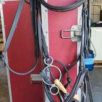 Testiere con frontalini equitazione