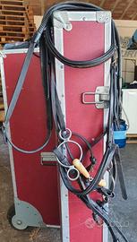 Testiere con frontalini equitazione