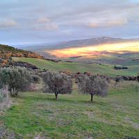 Terreno agricolo Montecatini val di Cecina (PI)
