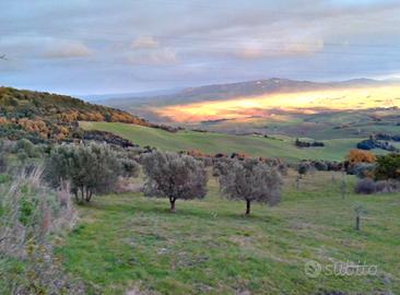 Terreno agricolo Montecatini val di Cecina (PI)