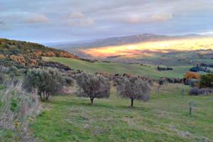 Terreno agricolo Montecatini val di Cecina (PI)