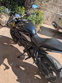 Benelli 752s