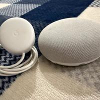 Google home “ Hey Google”