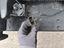 Immagine 14