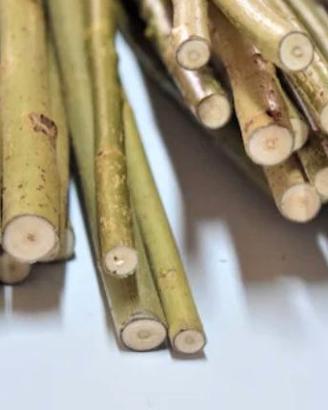 MAZZI DI SALICE VIMINI DA INTRECCIO