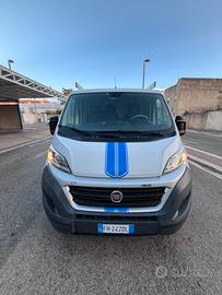 Ducato L1  H1