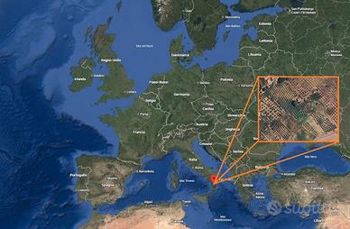 Terreno con Uliveto quasi Centenario e Abitazione