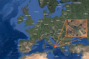 Terreno con Uliveto quasi Centenario e Abitazione