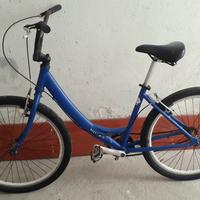 Bicicletta economica 