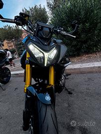 spledida Morbidelli f352