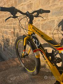 bicicletta
