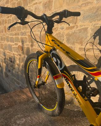 bicicletta