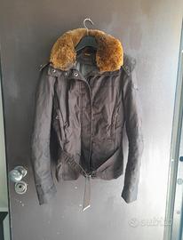 giacca