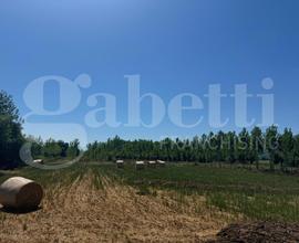 Terreno Agricolo Baia e Latina