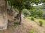 Immagine 22