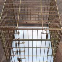 Gabbia trasporto per animali
