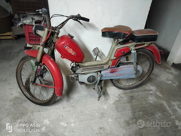 Motorino Testi leggi bene