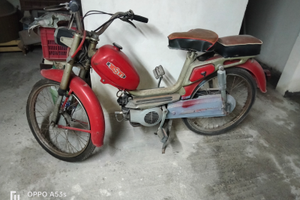 Motorino Testi leggi bene