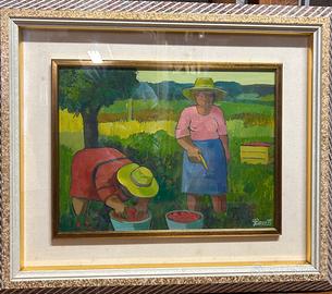 Raccolta di pomodori