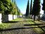 Immagine 26