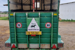 Trailer trasporto cavalli