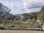 Immagine 26