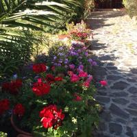 Oasi rigenerante casa vacanza - Costa Smeralda