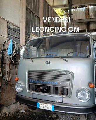 Camion leoncino om