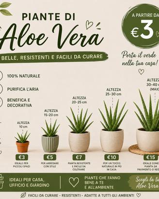 aloe vera 