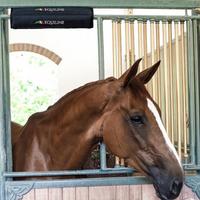 Para nuca da box Equiline