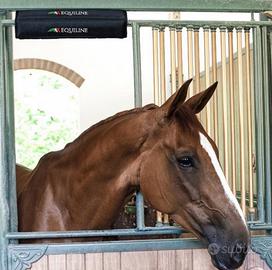 Para nuca da box Equiline