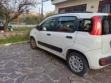 automobile Fiat  panda