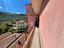 Immagine 22