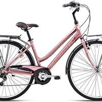 Bicicletta Donna Bottecchia!
