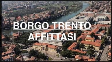 Via quattro Novembre-Monolocale