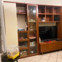 Mobile porta tv
