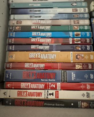 Dvd grey’s anatomy