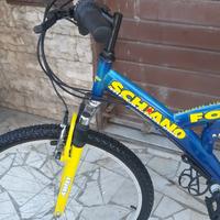 bici n.26 Marciante mountain bike ammortizzata 