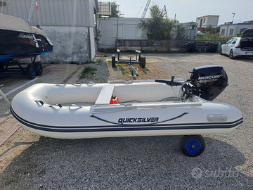 Tender Quicksilver + motore Mercury 20 cv iniezion
