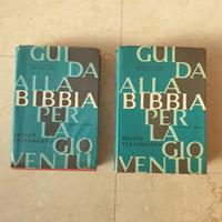 Guida alla Bibbia per la gioventù 
