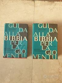 Guida alla Bibbia per la gioventù 