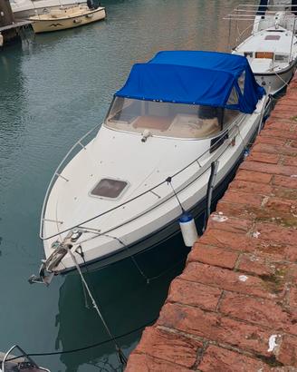 cranchi gt 25